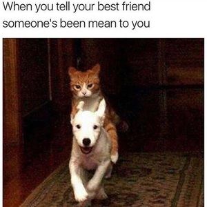 Meet your Posher, Mandy